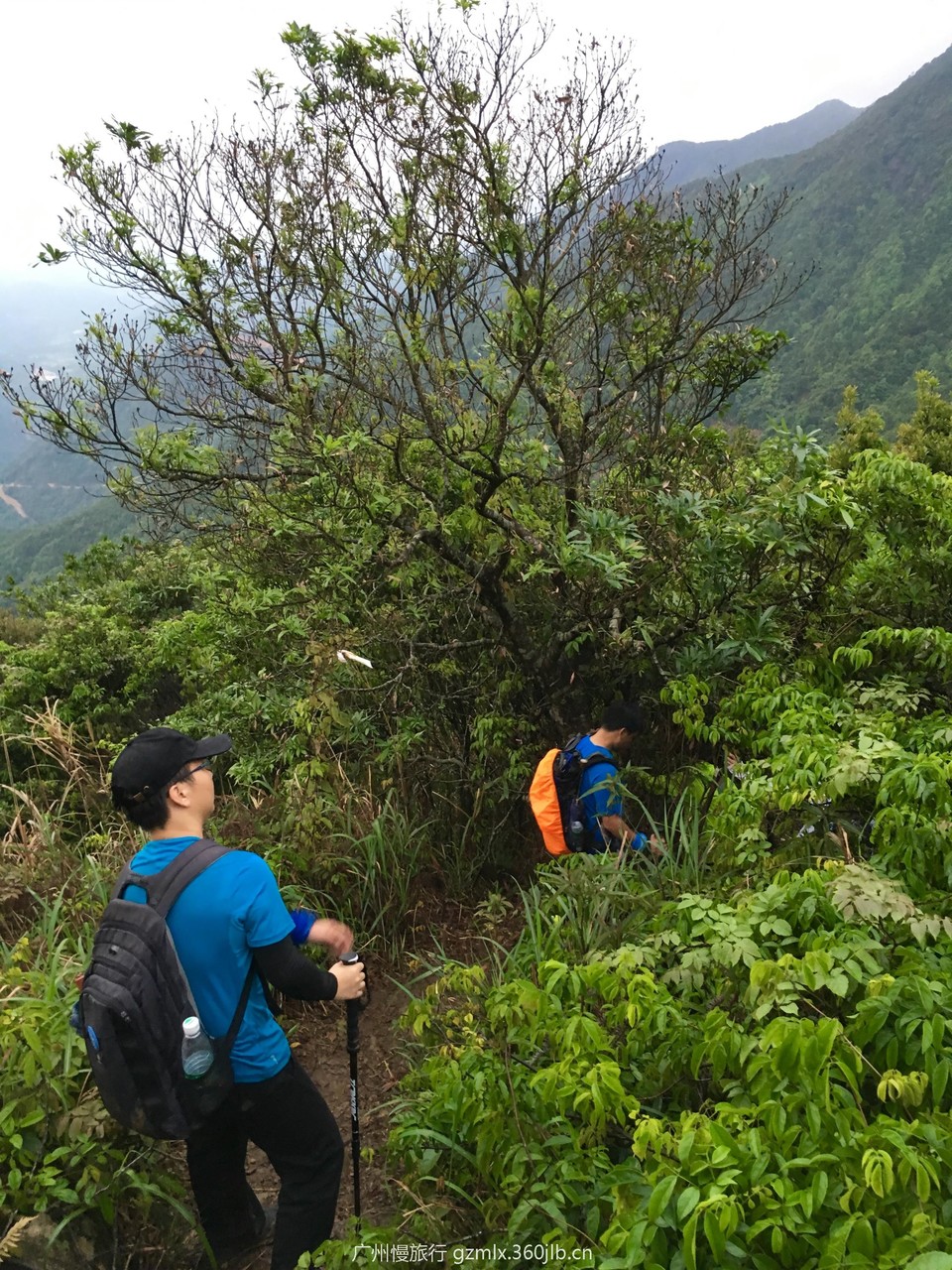 719fc16ee9514aa16c1a23ff65ea53bf_org