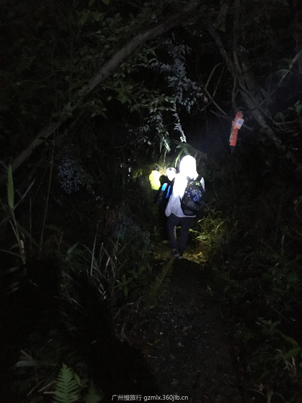 759ad456a4b684cd8802a2d672b62856_org