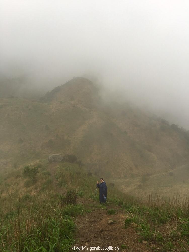 775e09879356b2682c19b2c37daf6e0a_org