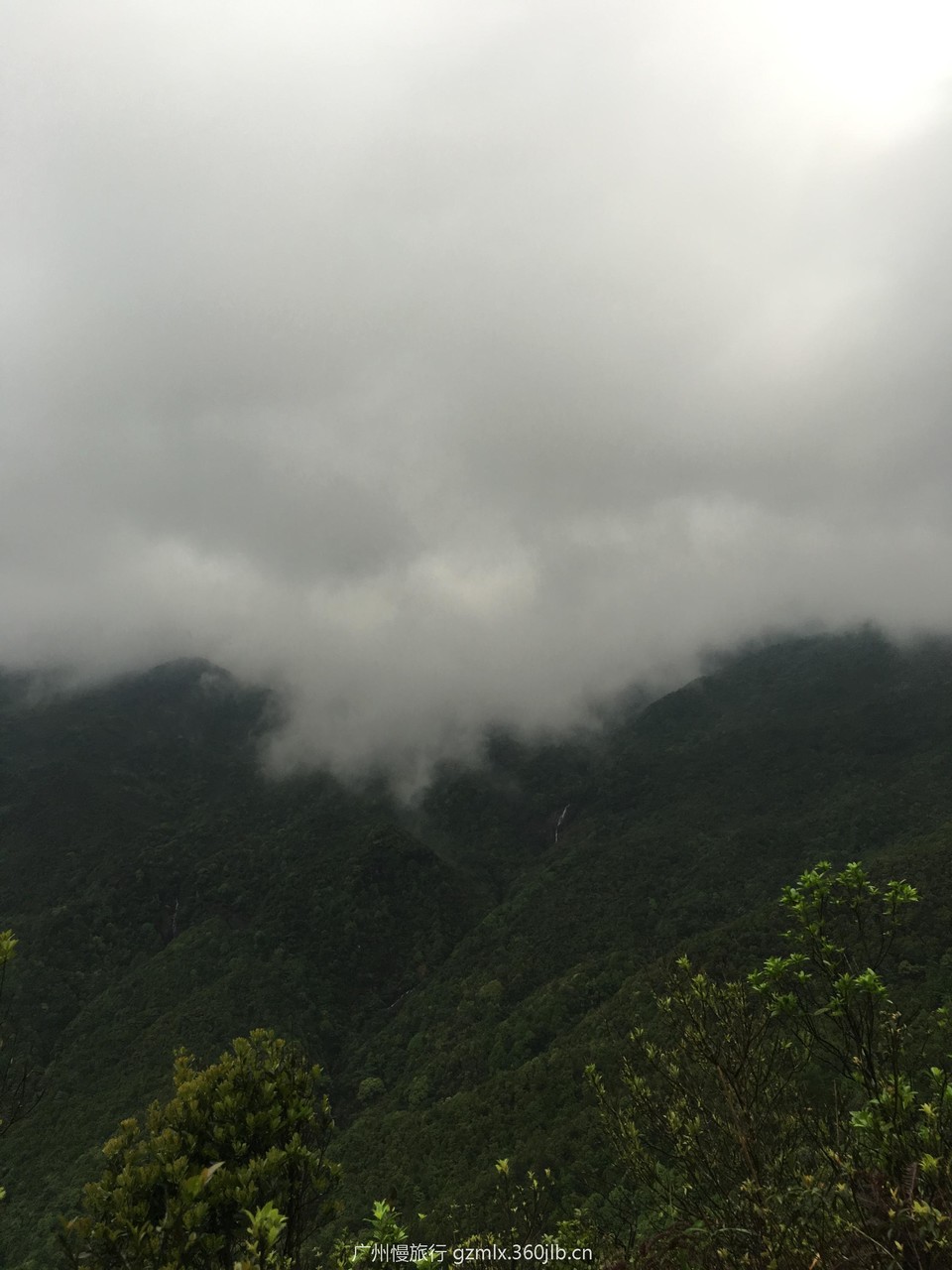 878f10e7ad4fa22df83f4f8533de1375_org