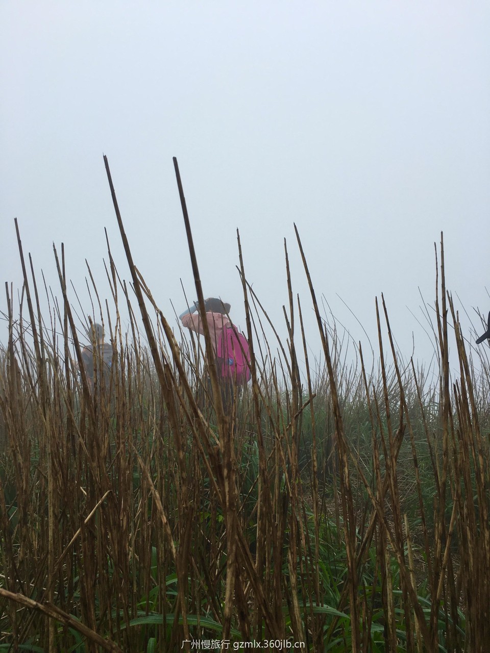 3756d4ba1faa651d415000ab45c0f5f4_org