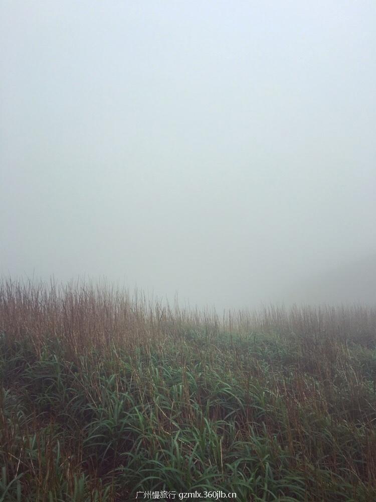 6356a3089aa9419413452bbcc4f7e368_org