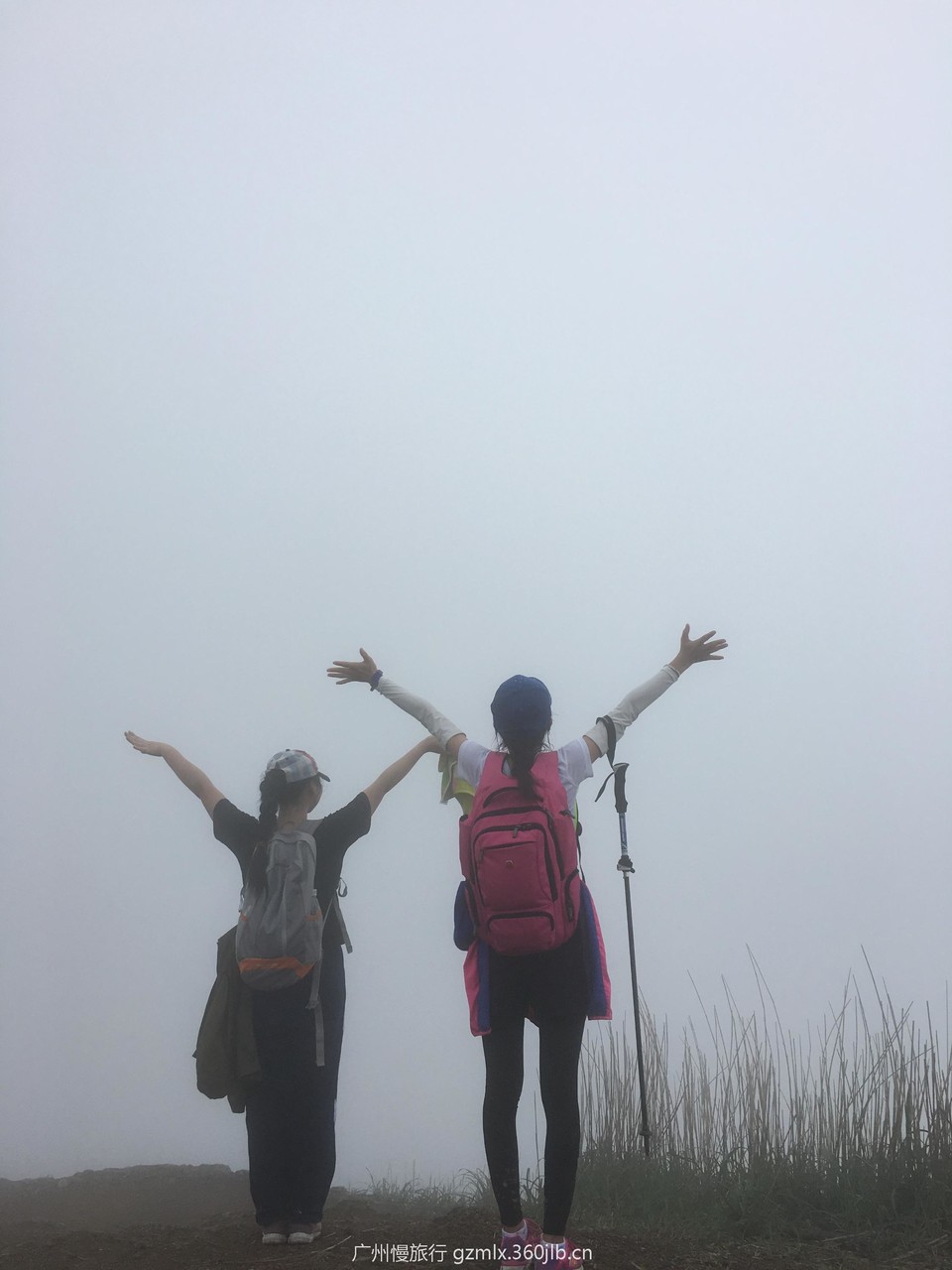 24094c993a16c9ba12890aab1dc90a38_org