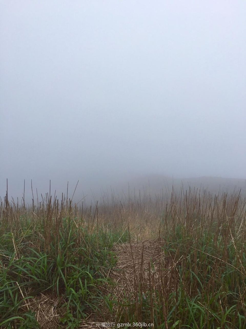 46744f00d17f9ace9247776d2ae8bc08_org