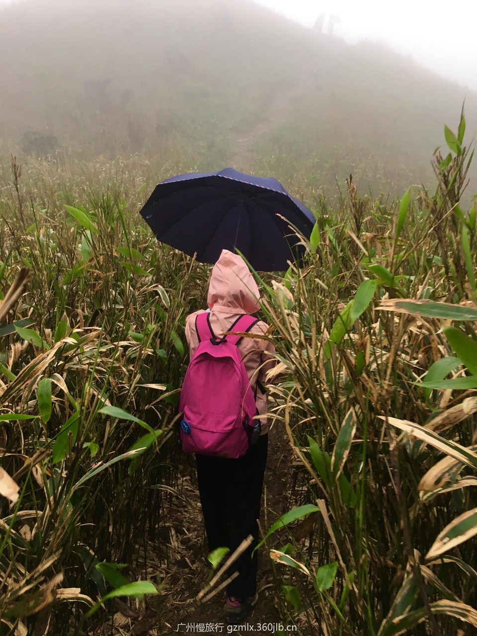 85324e6a4c333e55b34555017e2cfa46_org