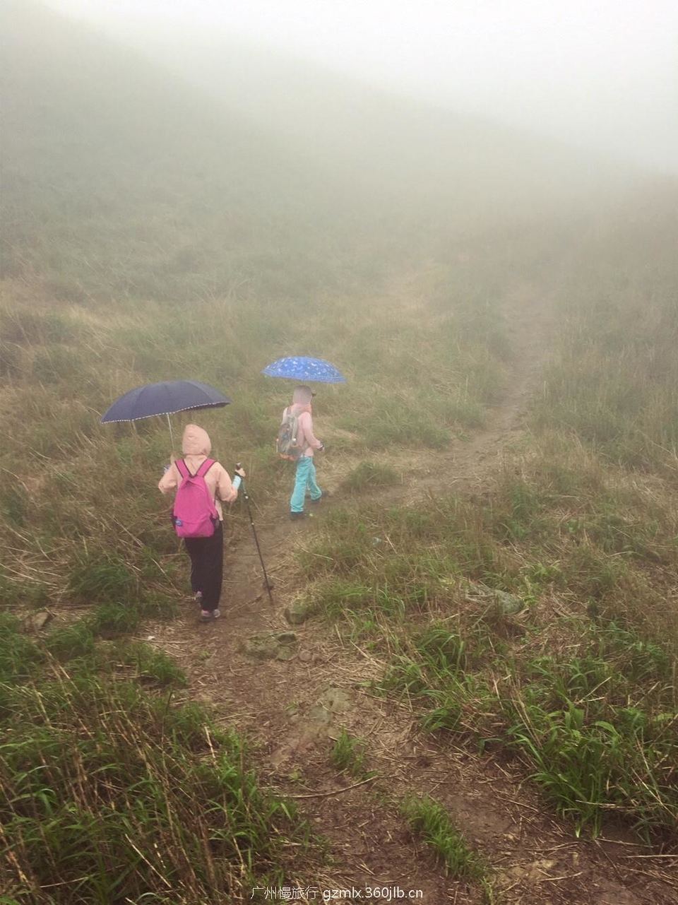 3176765ff5dbf0f048258d911429c218_org