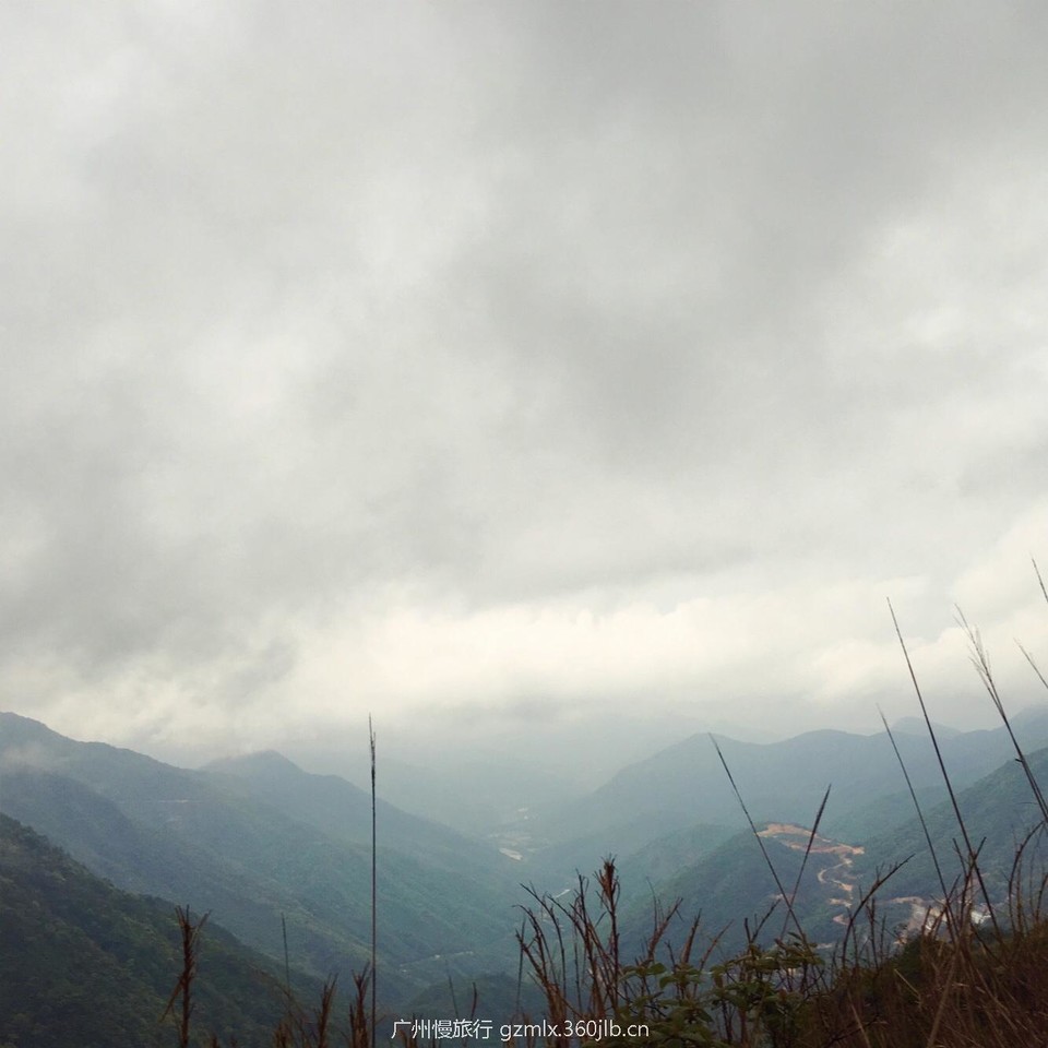 8908569963cc941981b9523db06fc82d_org