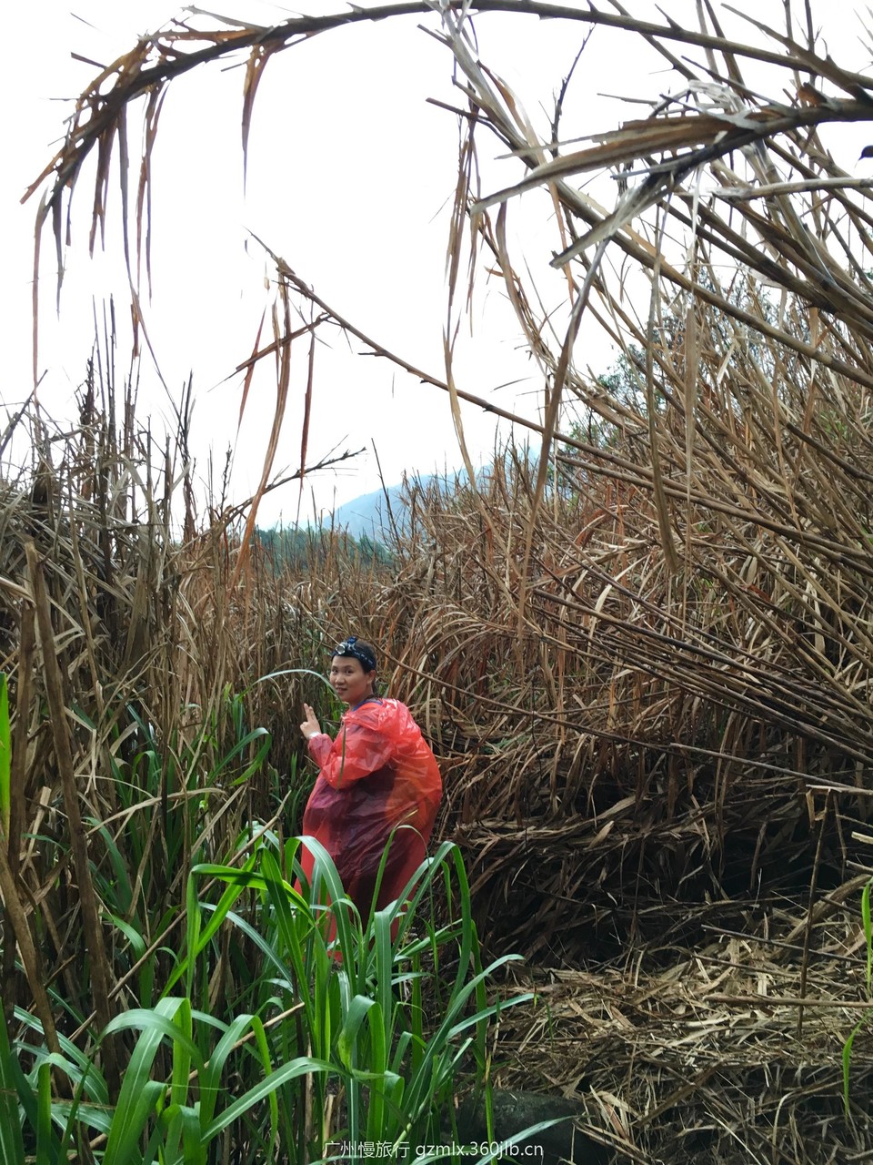 a2ff5cfc446275749574198bfbabae84_org