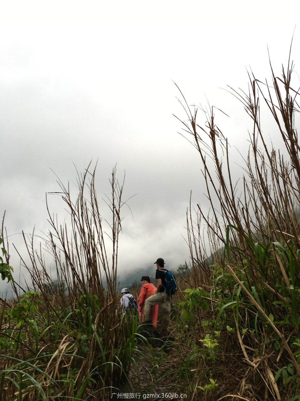 a4e257518a4c808f64481488a4ebb3f0_org