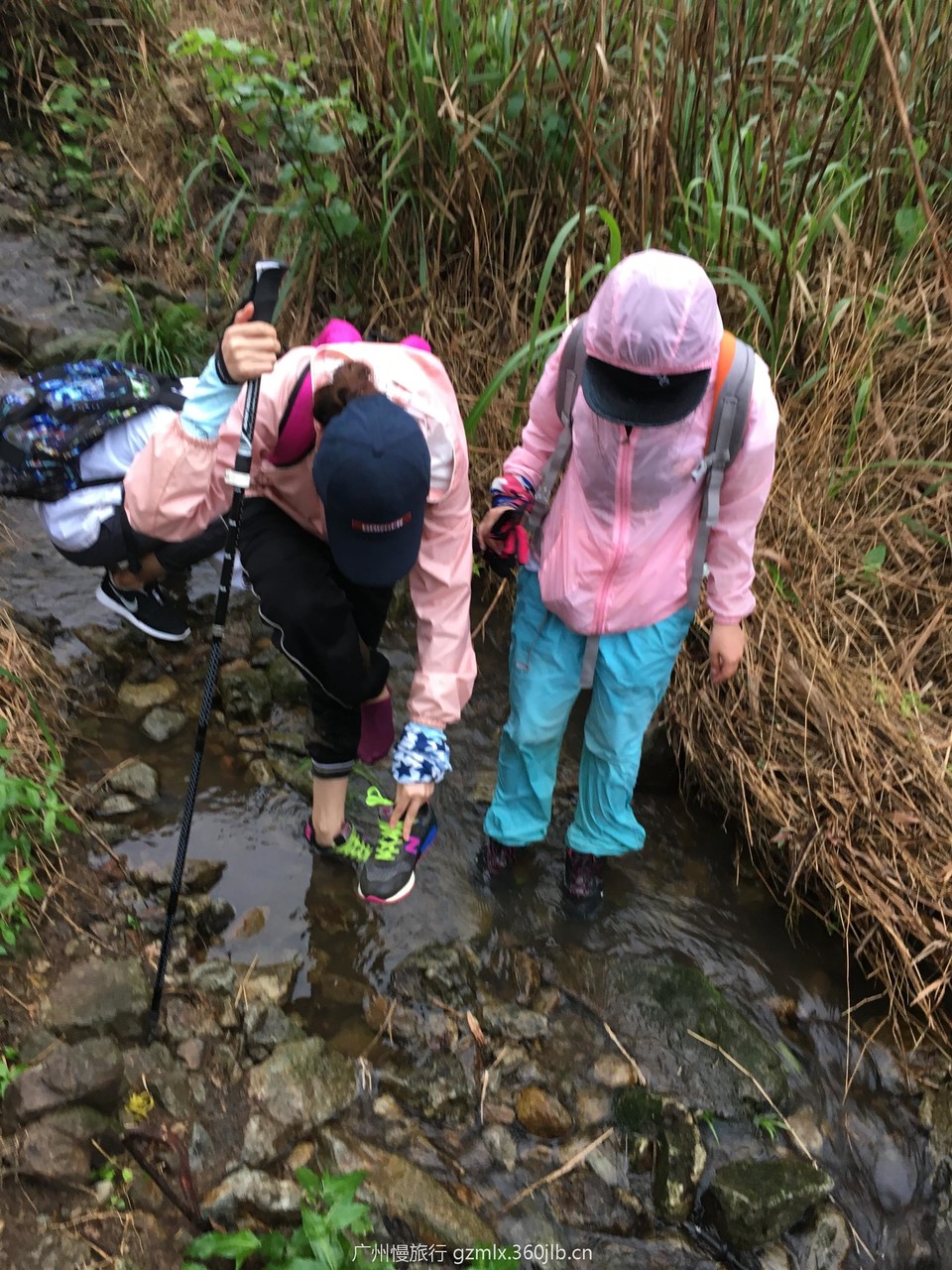 a24d238bf8c1a2ee650994ddbac570f0_org