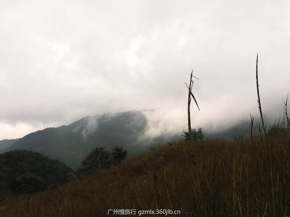 ad704b47cbb2be8f9b6424bf45b6e2f6_org