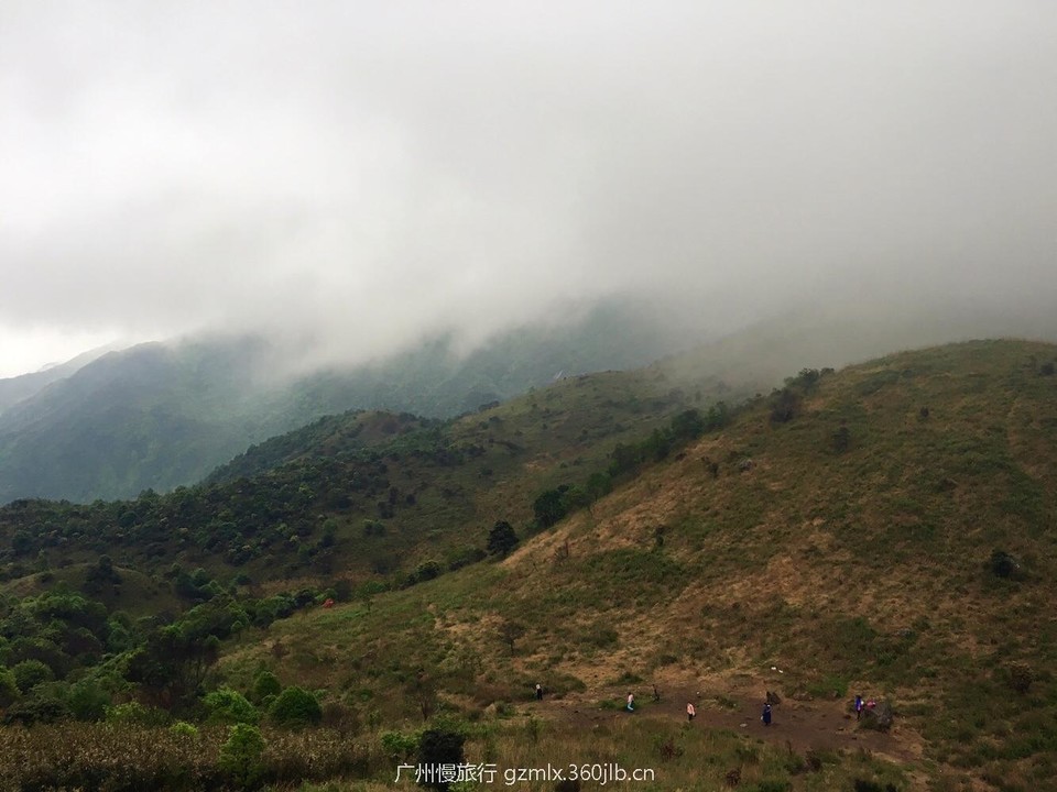 b8c2b511d45ed5b7cd98bd651c698e59_org