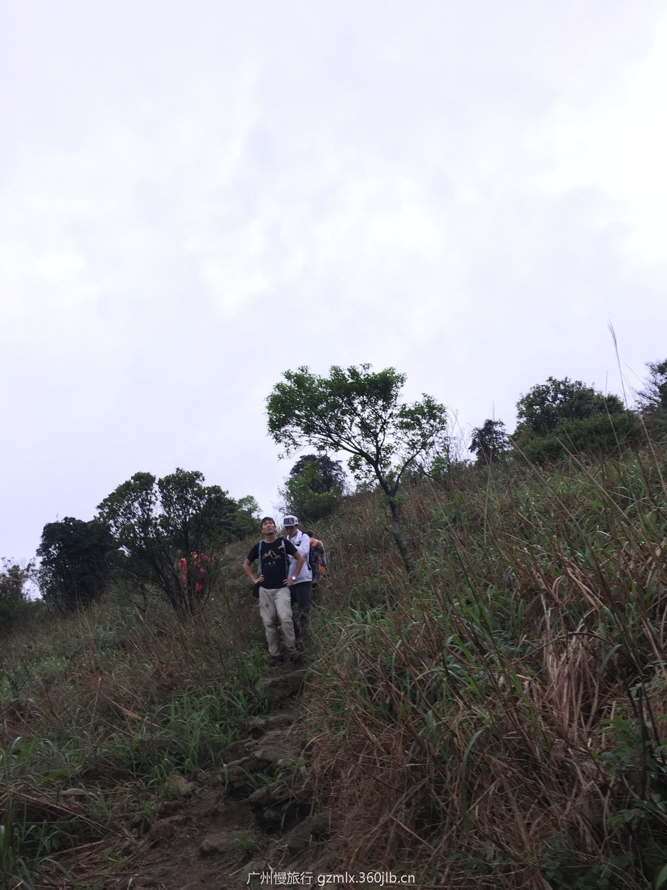 b9bb49cd5b78bc1f88b78eadb1df9052_org