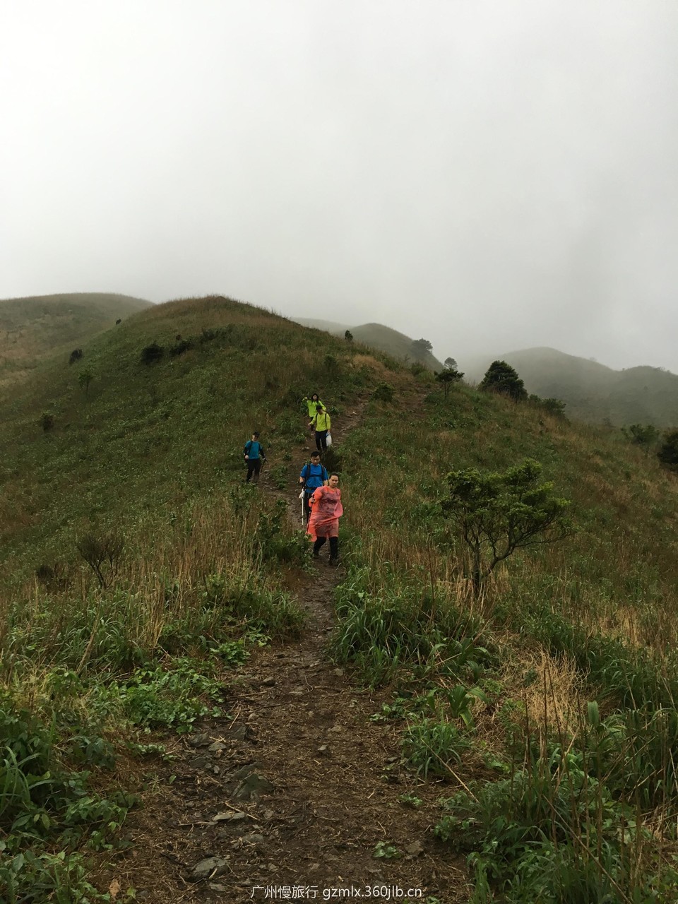 bd426f5ca8c774a70a88051c9b24bcfa_org