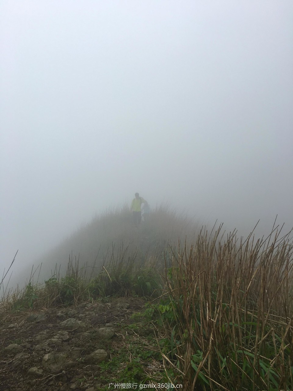 c9c644787a5d2815d32511e981fcd86f_org