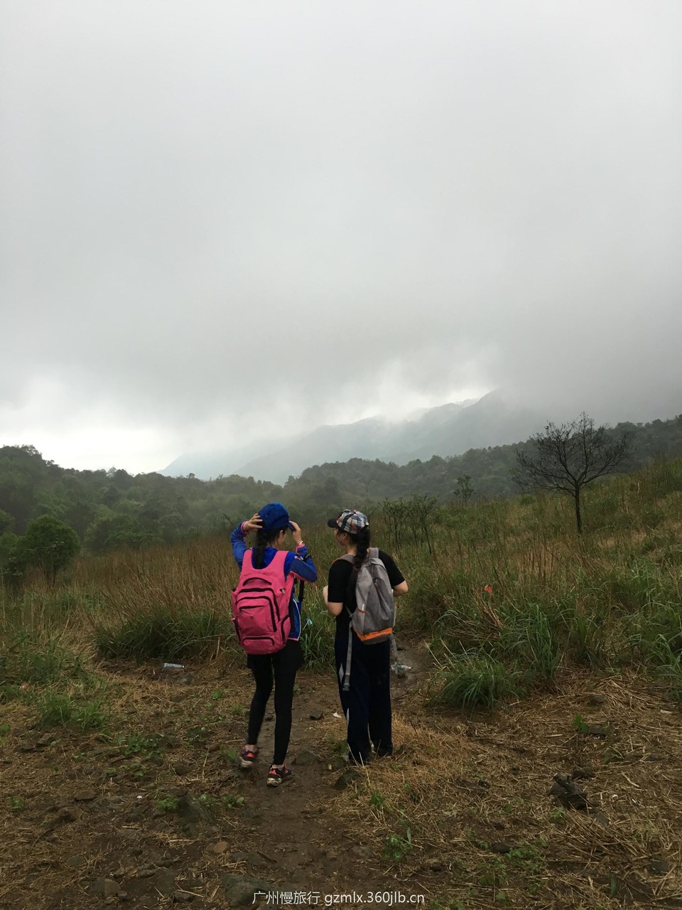 c016e6dfc12563fa8dce5024f5636293_org