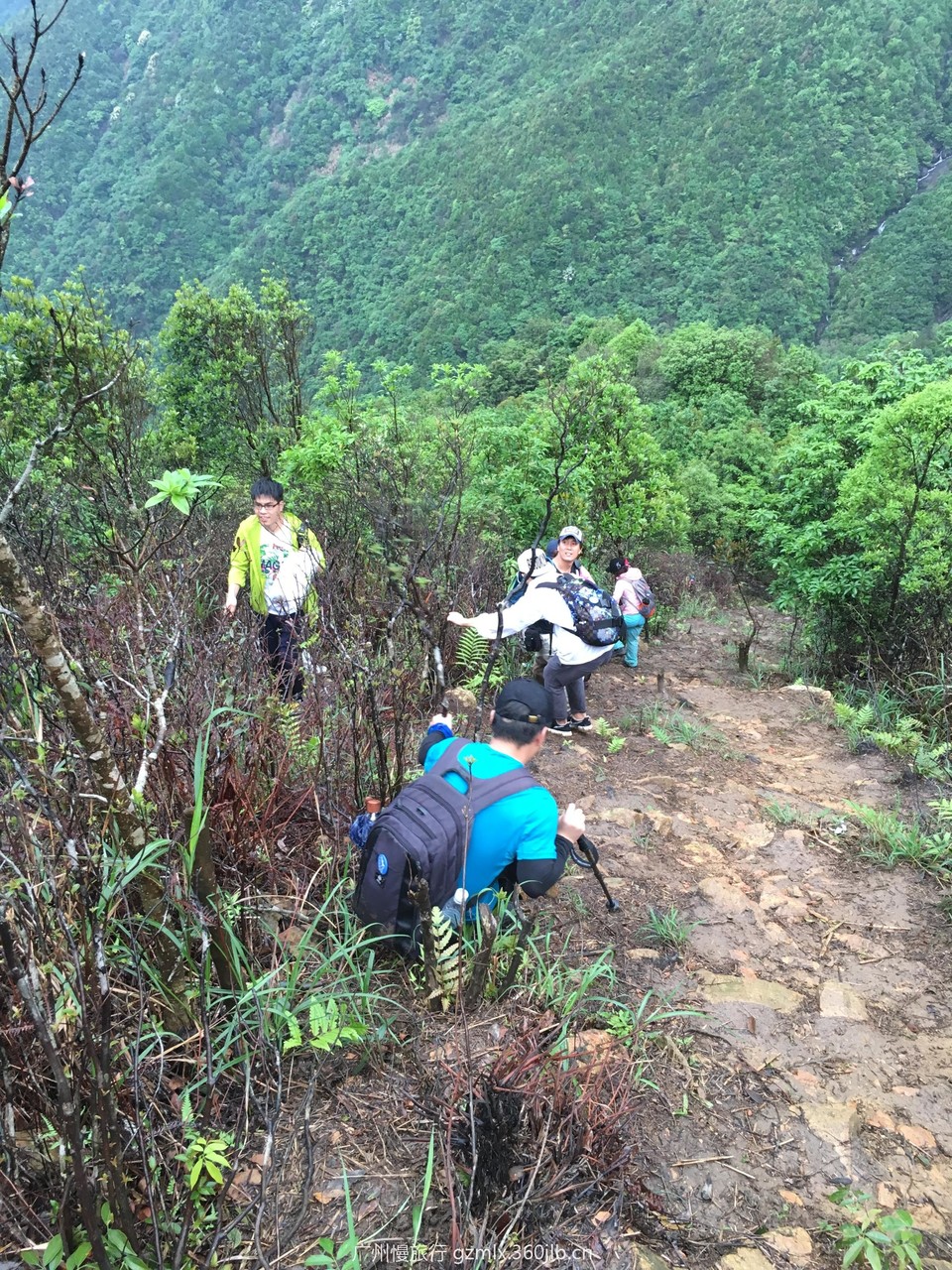 c5984dc59ff0867185c39f81c01ae080_org