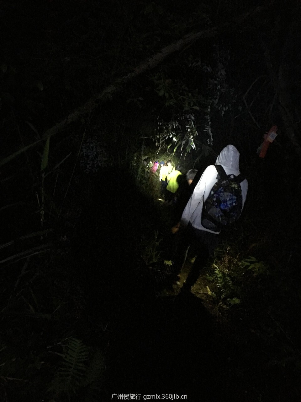 c2753618d1238c7f817c77992fc379f1_org