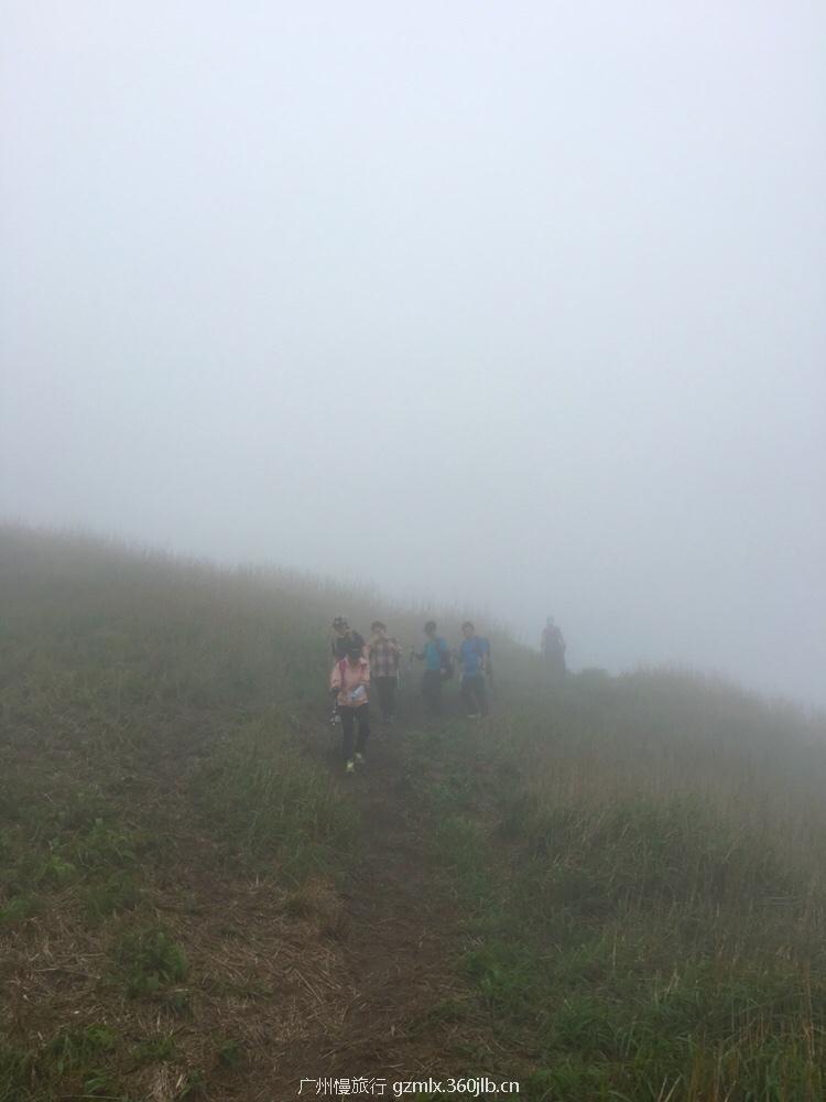 c24739485a72bd5845a89184210d4cfd_org