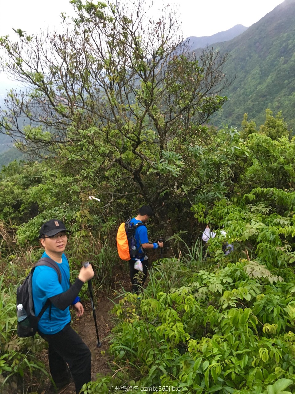 d0a47d47c71337b91cb209c2a7689fbd_org