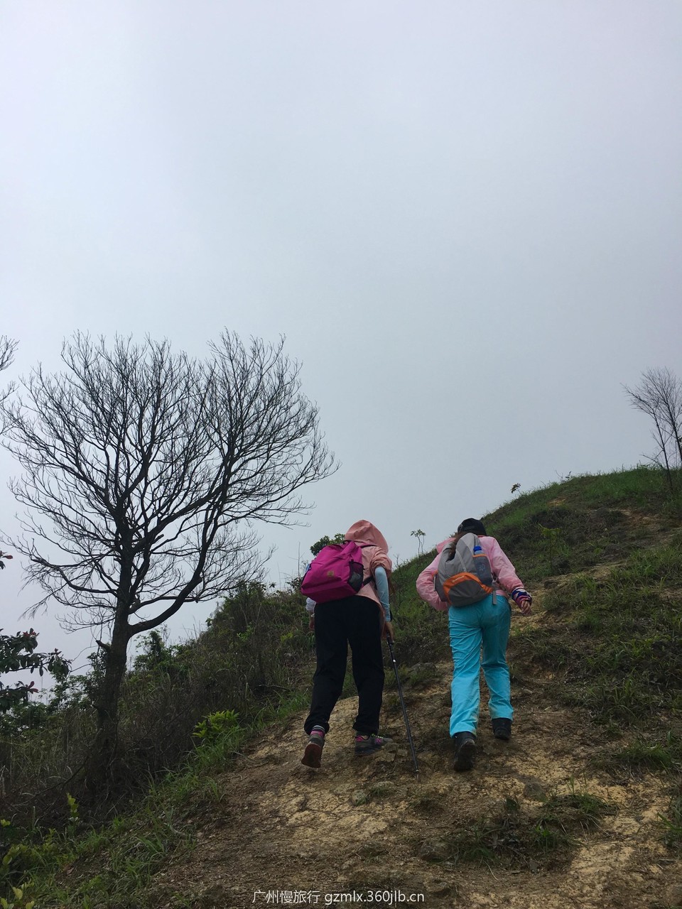 d875ad6bbae43bb8a5c00000dd3ff20e_org