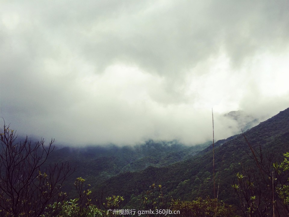 d1206d16b2ff905778f6f04723bf0714_org