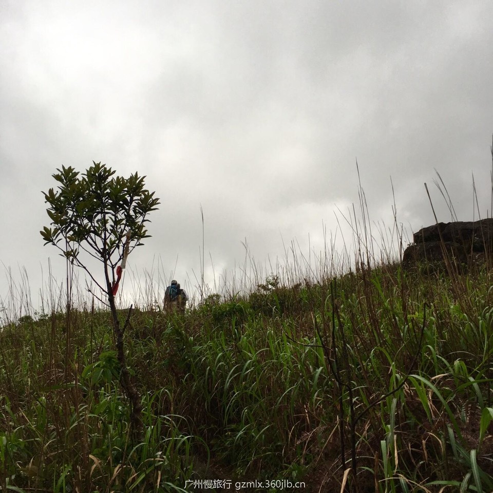 de1bccb5fde9bc83cf221c87229119e4_org