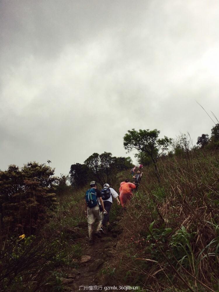 e2c2e2ae65b0ffe3b1ac416f46672c01_org