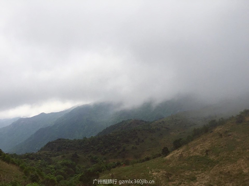 e05c2411fbcd1ff854556695e54780c4_org