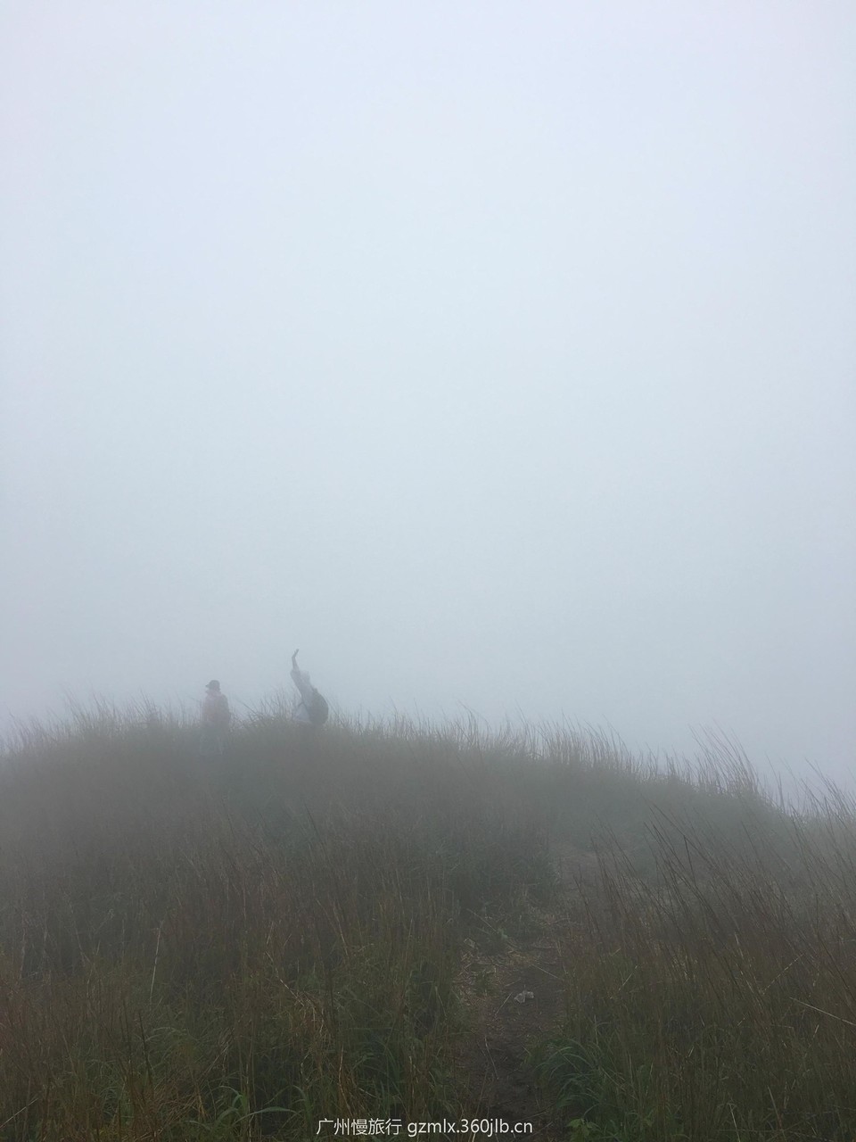 e4a78b38414bd5c45ecaef14106df273_org