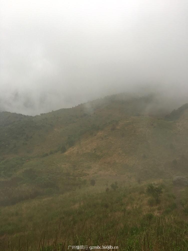 e7d868e60f92a9a3c68604493a19e394_org