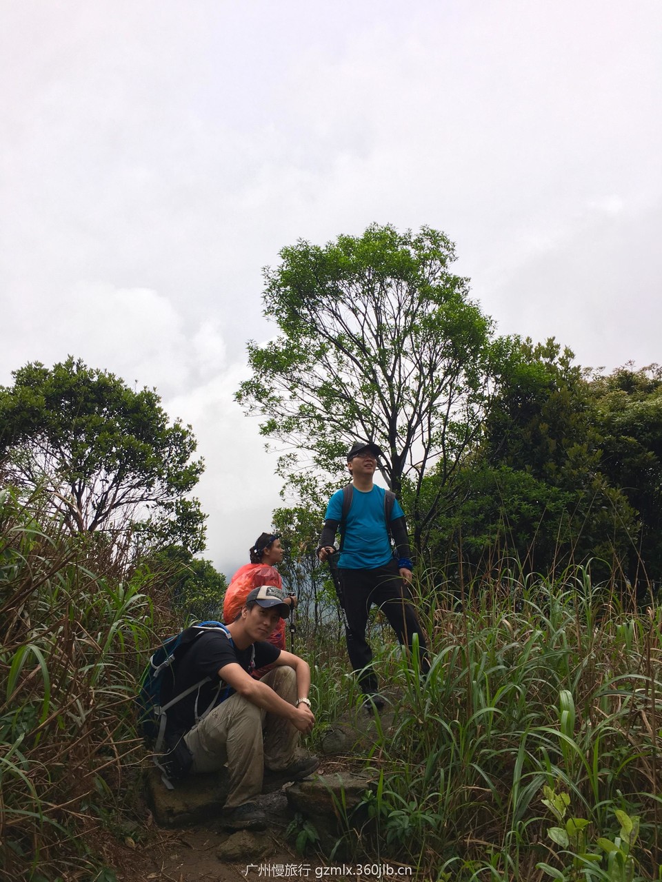 e5d3632a327a04e011834d7a71970123_org