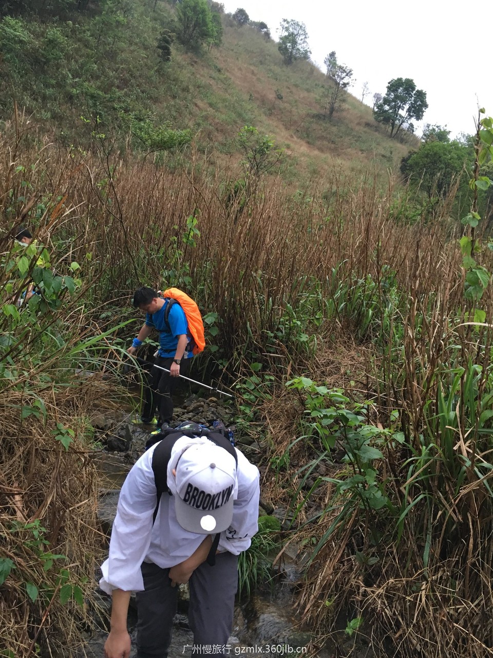 e01637ae6effab2cc3020eb5d26a2d12_org