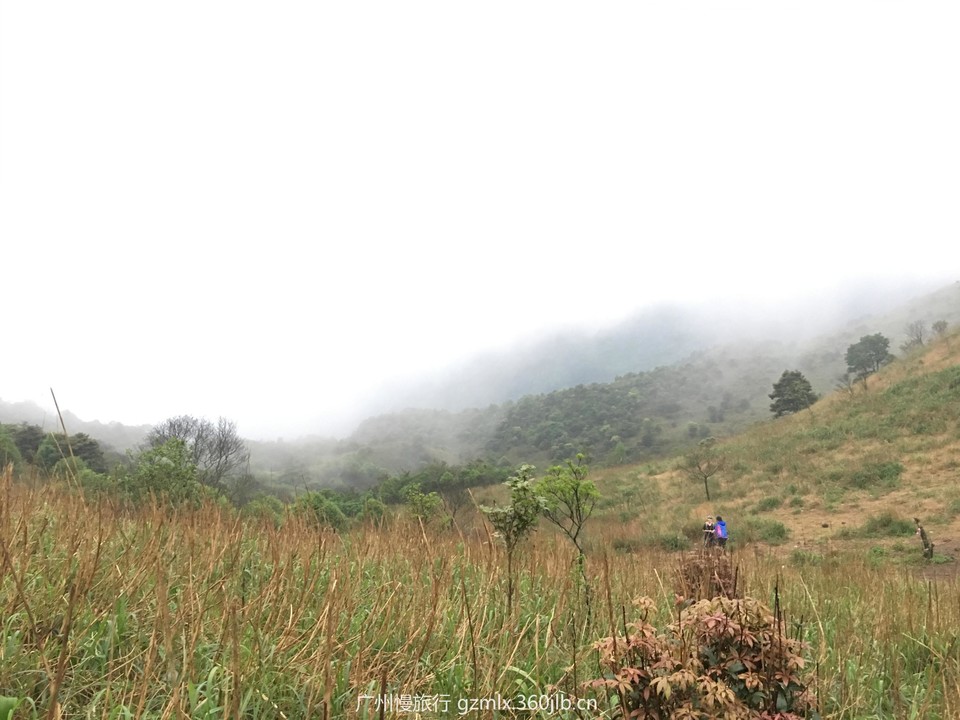 ee2f2bfa807d352183b2ef6a17bc7277_org