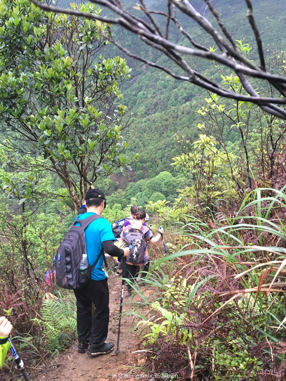 f3bdde5aa10af2b37d2129457c5c66f3_org