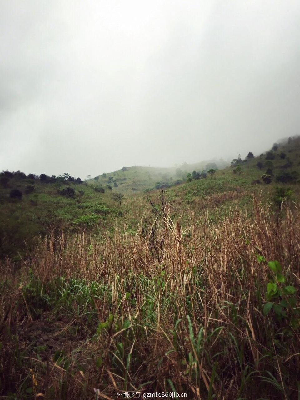 f44f4ff6173f2b9888b4829a3d1a9f8b_org