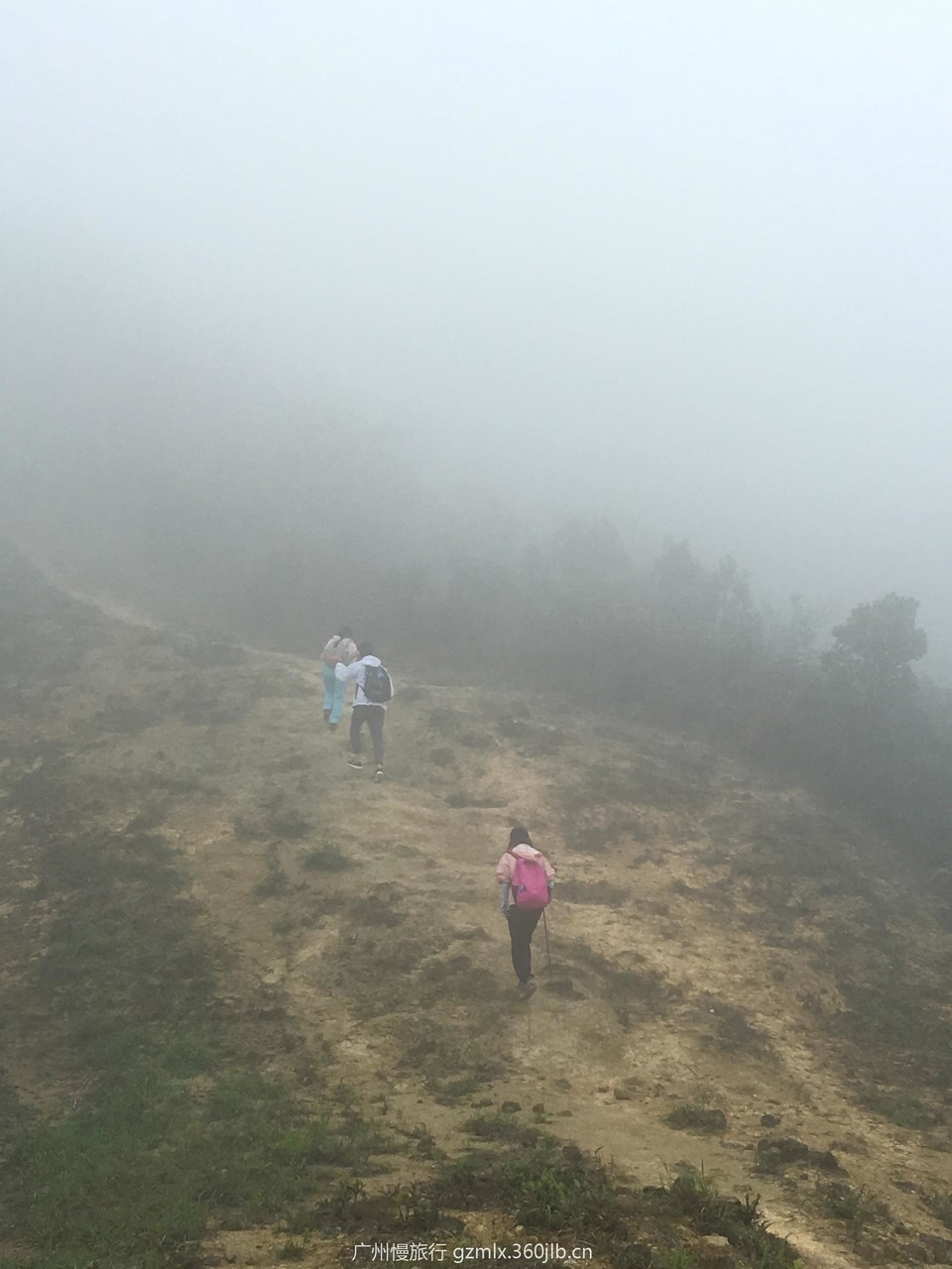 f15a47039d487a90dd883fdfe61fe776_org