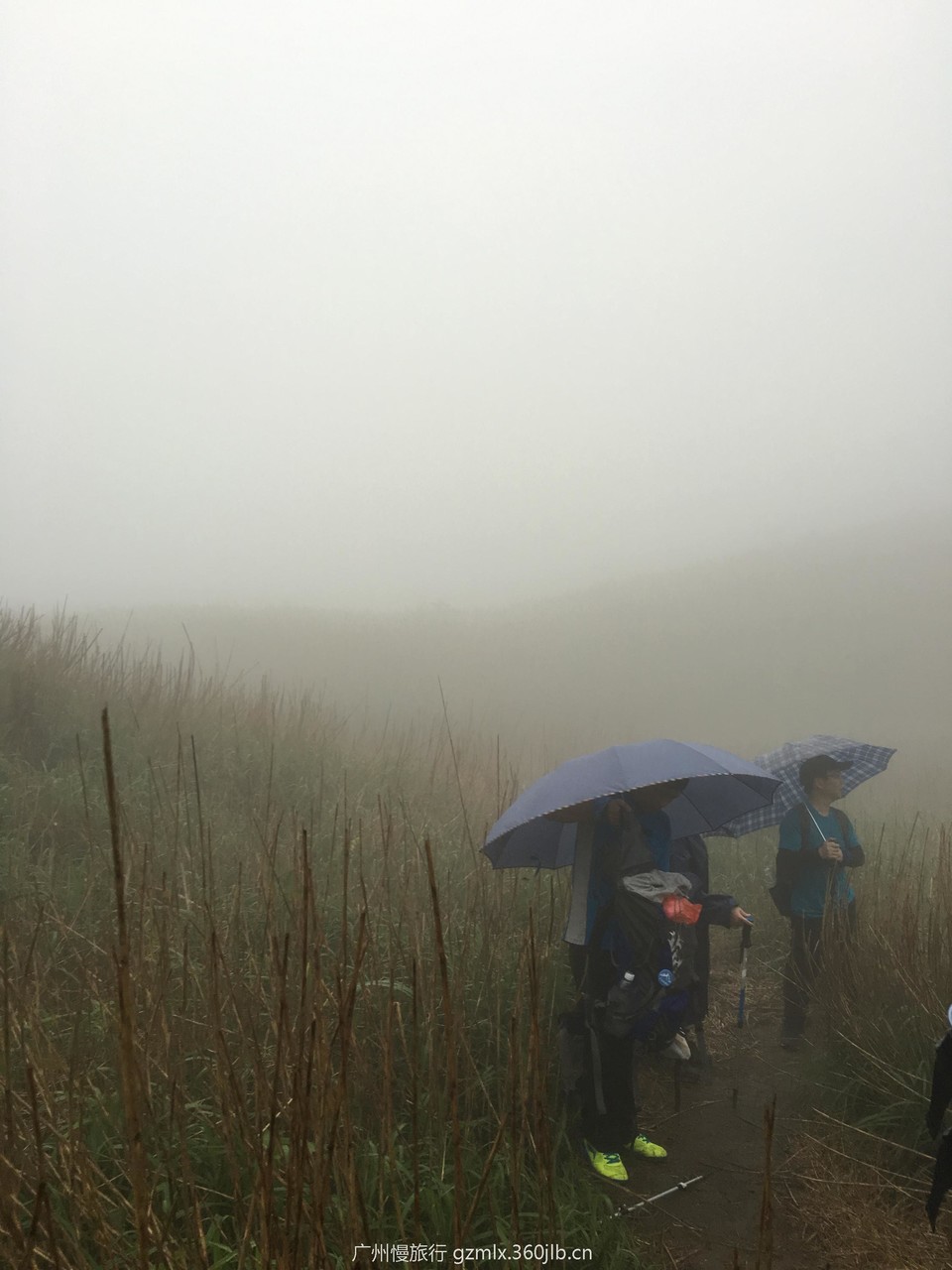 f78bcb46c032bae96906a913608cb3e8_org