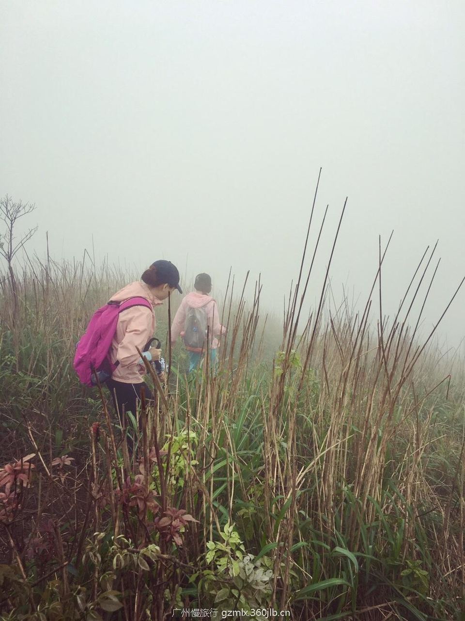 f223b68bd62e36d3a0e0b4df543d729b_org