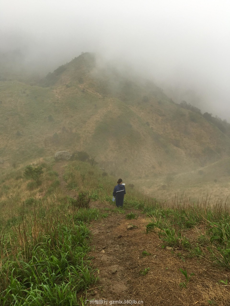 f5597363b93c7401cf372c2ebd225b4a_org