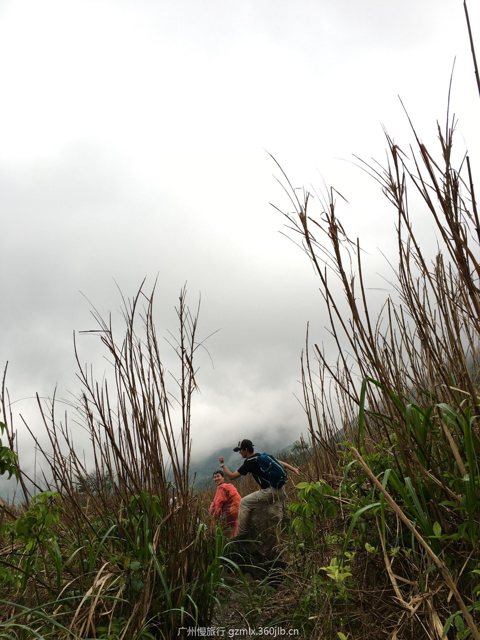 feff9ac2bd17311e23f30bcc9b9ae408_org