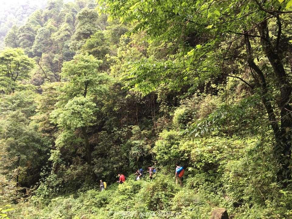 1aec69c3fe977ff6179cefd51f3a821a_org