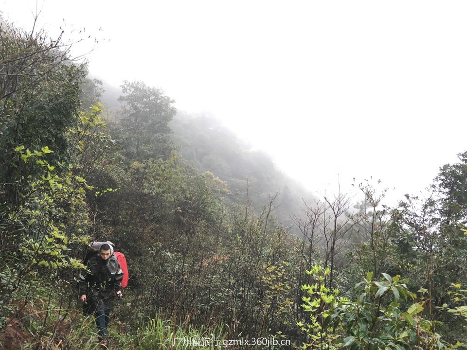 1e41c163e5142120be170c16eb6c2e0f_org