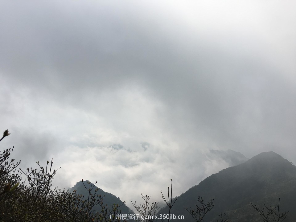 02a223005e92c4a7a5c0d835fd046ca4_org