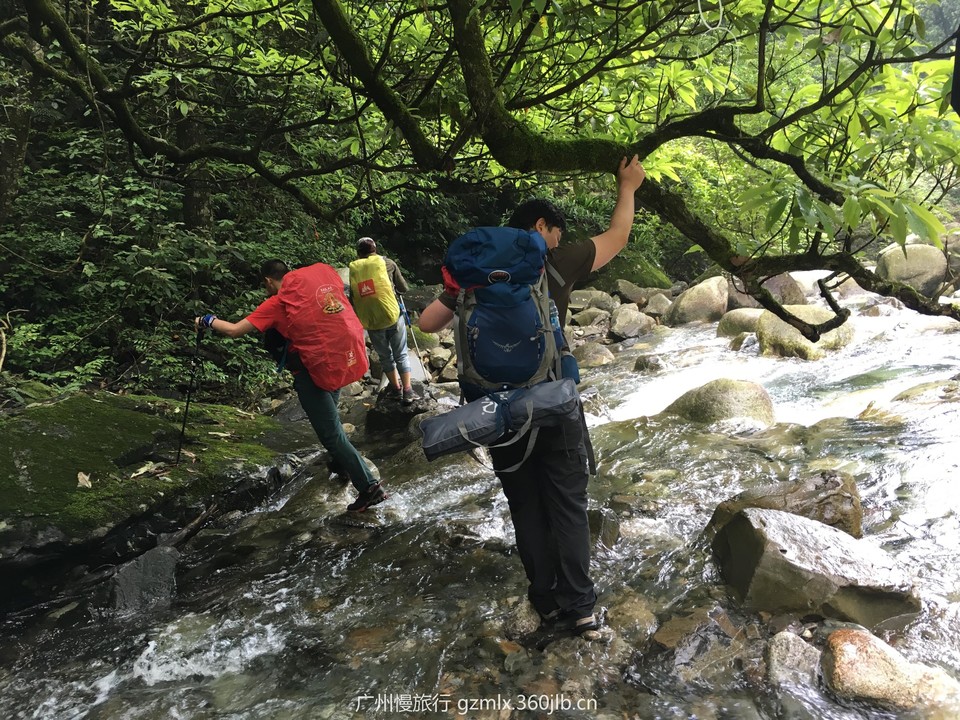 2d2122593cddc36cb873aba858e41201_org