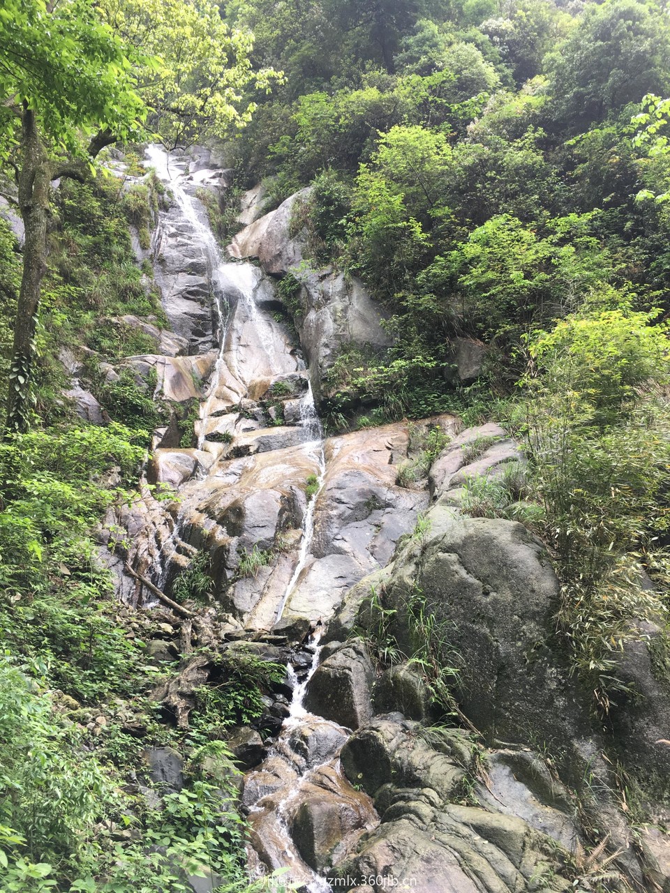 2f8fb39d175a701508c6062af2a6be46_org