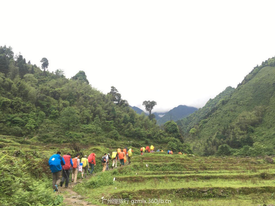 2f075464c18656c722d71772addf7d4b_org