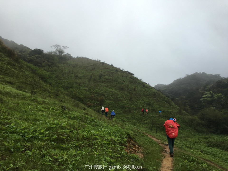 3cdeb27f55cdf4a721f3645c6844d103_org