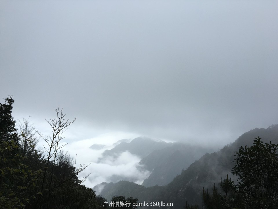 3d0199eeff227f5d489a3d923cf857ac_org