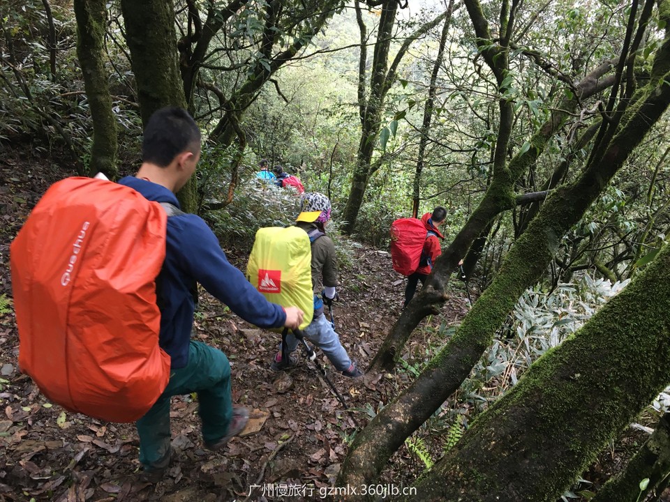 3da3d4260274ab6fb2e59888e91c9b56_org